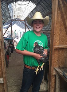 boy holding chicken